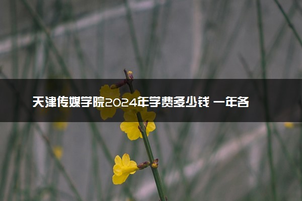 天津传媒学院2024年学费多少钱 一年各专业收费标准