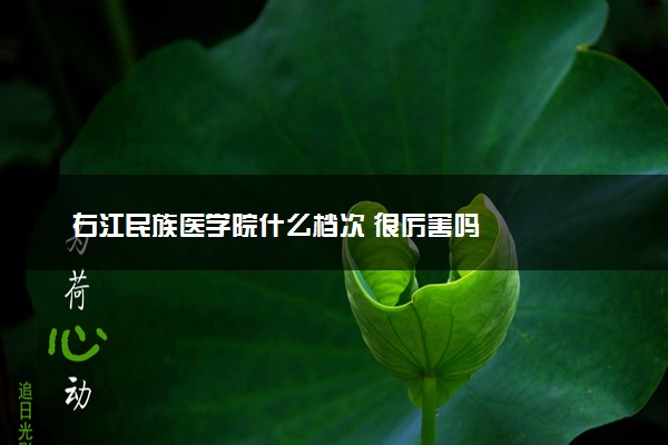 右江民族医学院什么档次 很厉害吗