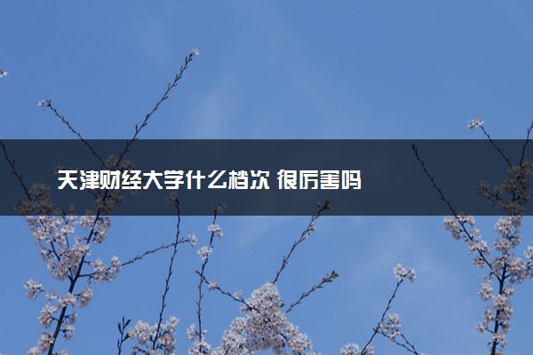 天津财经大学什么档次 很厉害吗