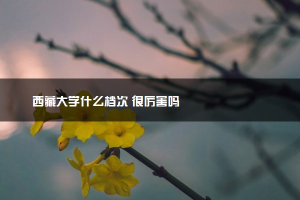 西藏大学什么档次 很厉害吗
