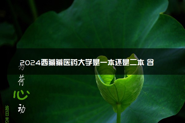 2024西藏藏医药大学是一本还是二本 含金量高吗