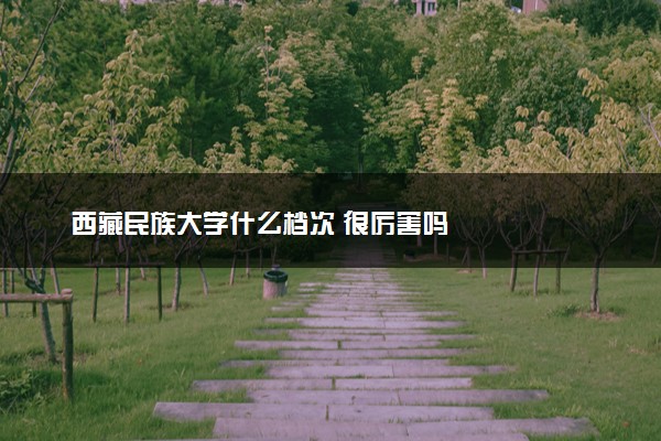 西藏民族大学什么档次 很厉害吗