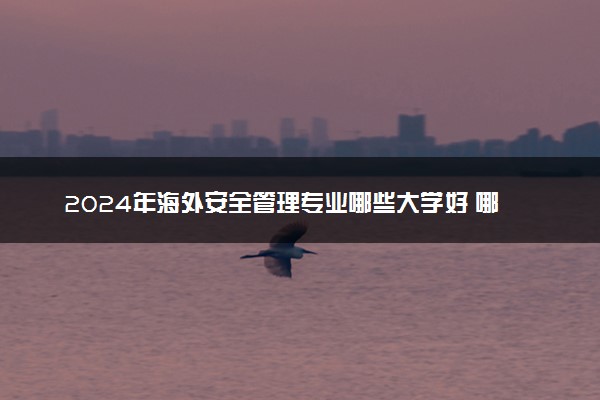 2024年海外安全管理专业哪些大学好 哪些院校海外安全管理专业强