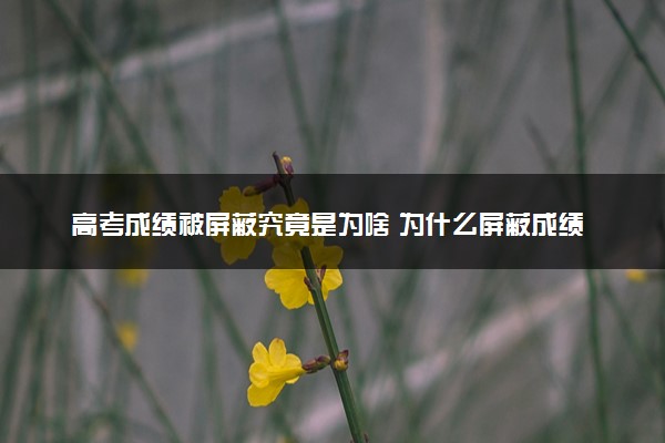 高考成绩被屏蔽究竟是为啥 为什么屏蔽成绩