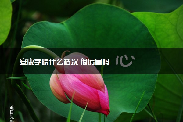 安康学院什么档次 很厉害吗