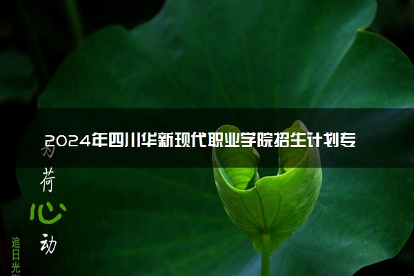 2024年四川华新现代职业学院招生计划专业及各省录取分数线位次