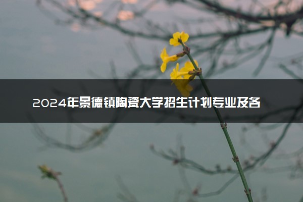2024年景德镇陶瓷大学招生计划专业及各省录取分数线位次