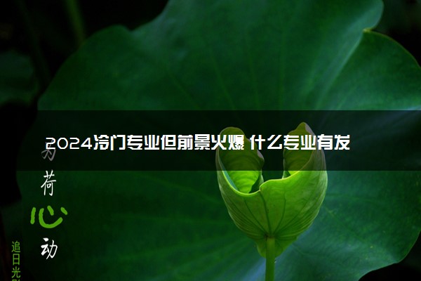 2024冷门专业但前景火爆 什么专业有发展