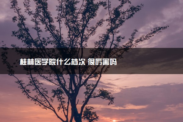 桂林医学院什么档次 很厉害吗