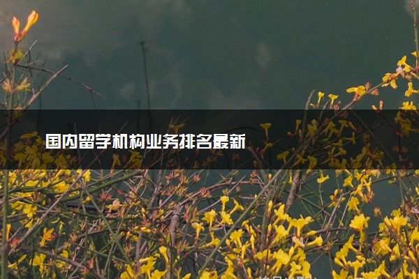 国内留学机构业务排名最新