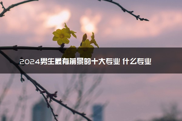 2024男生最有前景的十大专业 什么专业适合男生