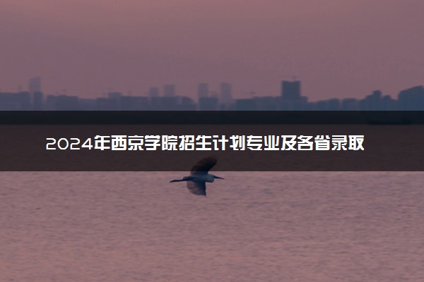 2024年西京学院招生计划专业及各省录取分数线位次