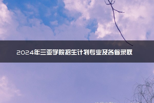 2024年三亚学院招生计划专业及各省录取分数线位次