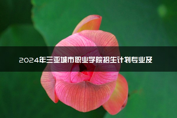 2024年三亚城市职业学院招生计划专业及各省录取分数线位次