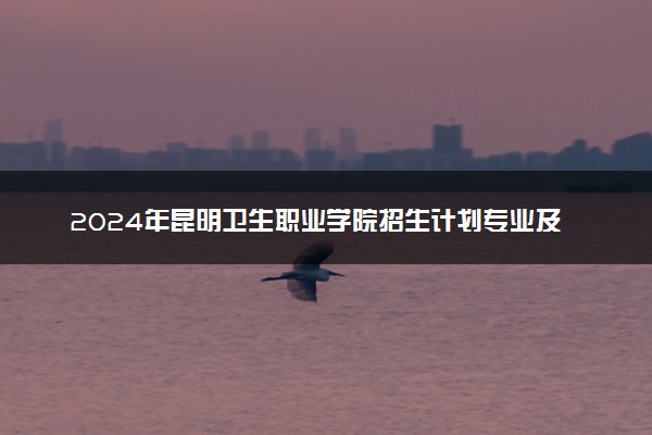 2024年昆明卫生职业学院招生计划专业及各省录取分数线位次