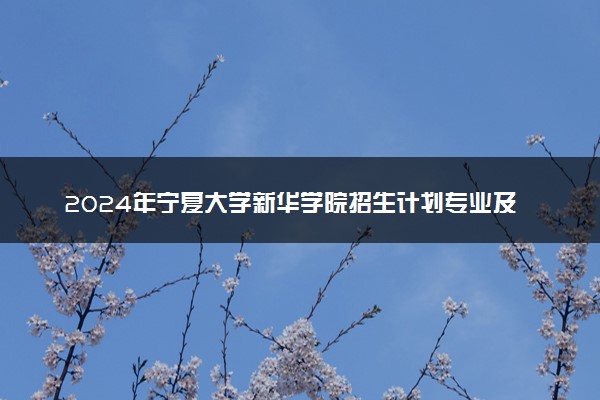 2024年宁夏大学新华学院招生计划专业及各省录取分数线位次