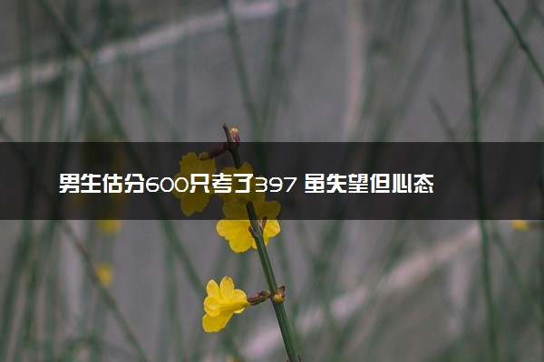 男生估分600只考了397 虽失望但心态还好