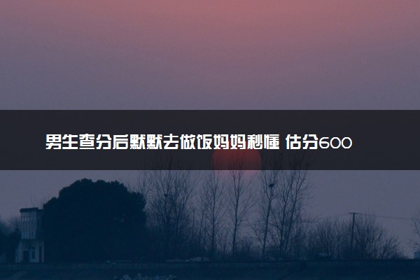 男生查分后默默去做饭妈妈秒懂 估分600只考了397