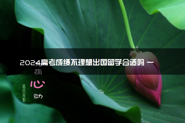 2024高考成绩不理想出国留学合适吗 一般去哪个国家