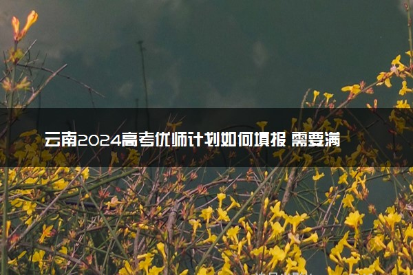 云南2024高考优师计划如何填报 需要满足什么条件
