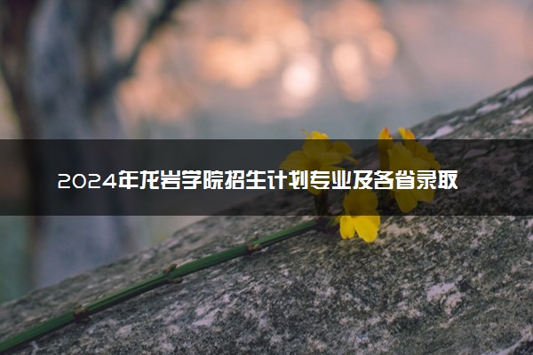 2024年龙岩学院招生计划专业及各省录取分数线位次