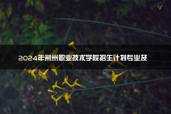 2024年荆州职业技术学院招生计划专业及各省录取分数线位次