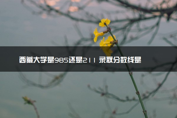 西藏大学是985还是211 录取分数线是多少
