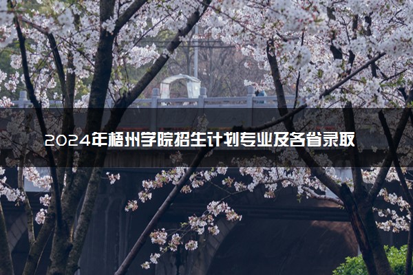 2024年梧州学院招生计划专业及各省录取分数线位次