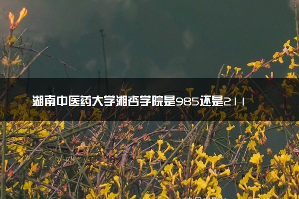 湖南中医药大学湘杏学院是985还是211 录取分数线是多少