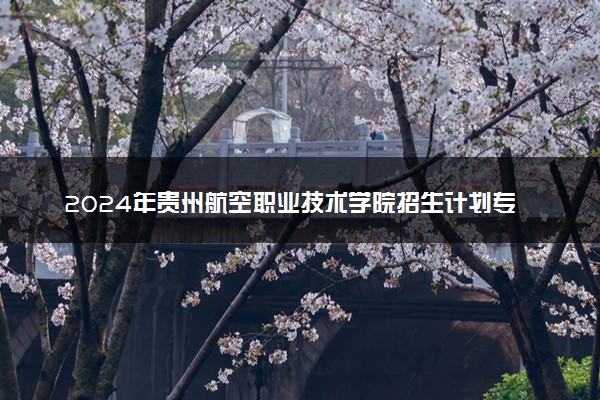 2024年贵州航空职业技术学院招生计划专业及各省录取分数线位次