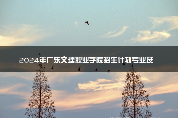2024年广东文理职业学院招生计划专业及各省录取分数线位次