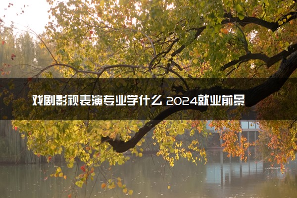 戏剧影视表演专业学什么 2024就业前景怎么样