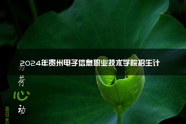 2024年贵州电子信息职业技术学院招生计划专业及各省录取分数线位次
