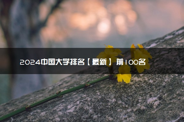 2024中国大学排名【最新】 前100名排行榜完整版
