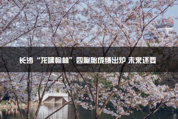 长沙“龙啸翰林”四胞胎成绩出炉 未来还要继续努力