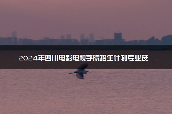 2024年四川电影电视学院招生计划专业及各省录取分数线位次