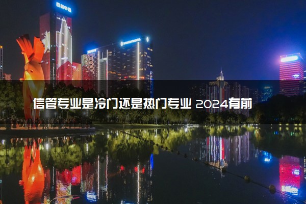 信管专业是冷门还是热门专业 2024有前途吗