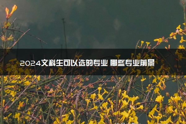 2024文科生可以选的专业 哪些专业前景好
