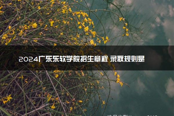 2024广东东软学院招生章程 录取规则是什么
