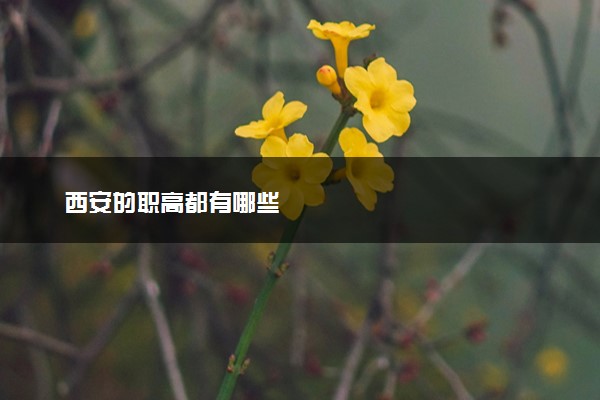 西安的职高都有哪些