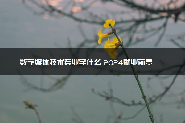 数字媒体技术专业学什么 2024就业前景怎么样