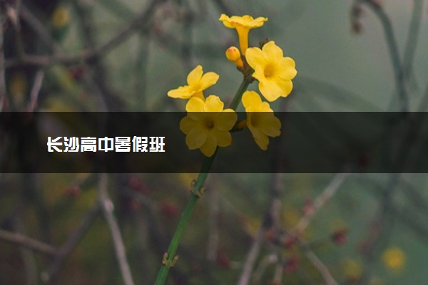 长沙高中暑假班