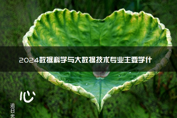 2024数据科学与大数据技术专业主要学什么 就业方向有哪些