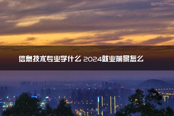 信息技术专业学什么 2024就业前景怎么样