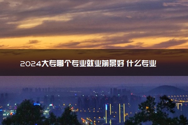 2024大专哪个专业就业前景好 什么专业收入高