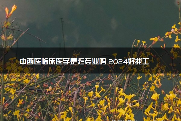 中西医临床医学是烂专业吗 2024好找工作吗