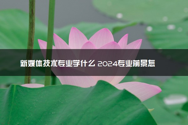 新媒体技术专业学什么 2024专业前景怎么样