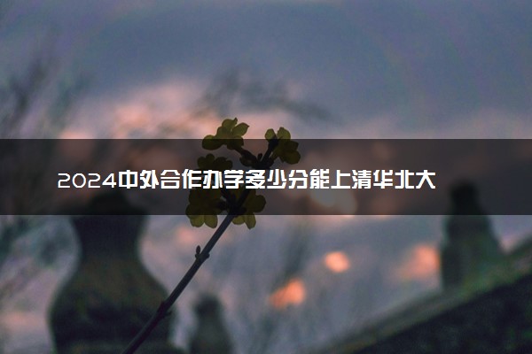 2024中外合作办学多少分能上清华北大 重点大学分数线汇总