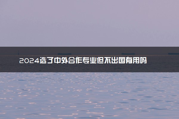 2024选了中外合作专业但不出国有用吗 想考研行吗