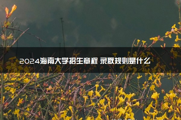 2024海南大学招生章程 录取规则是什么
